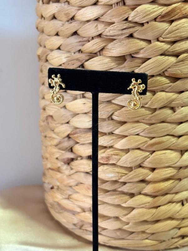 ARETE DE CONCHA