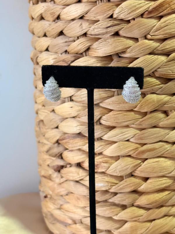 ARETES PLATEADOS FASHION